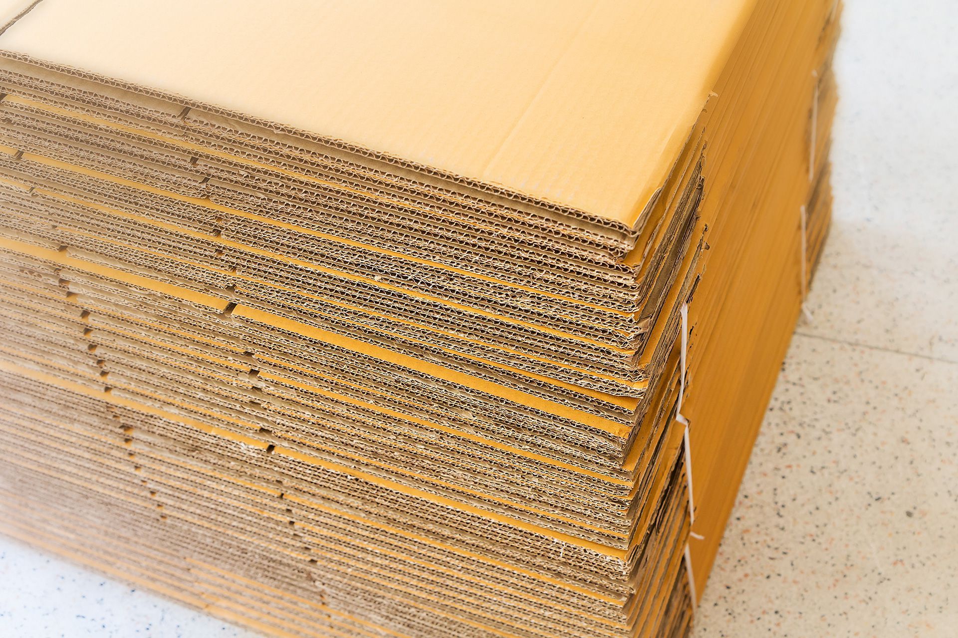 PAPER DISCS
